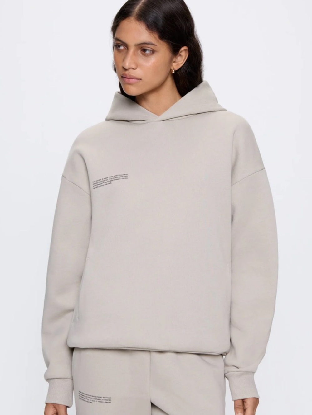 PANGAIA 365 Heavyweight Hoodie in Stone
